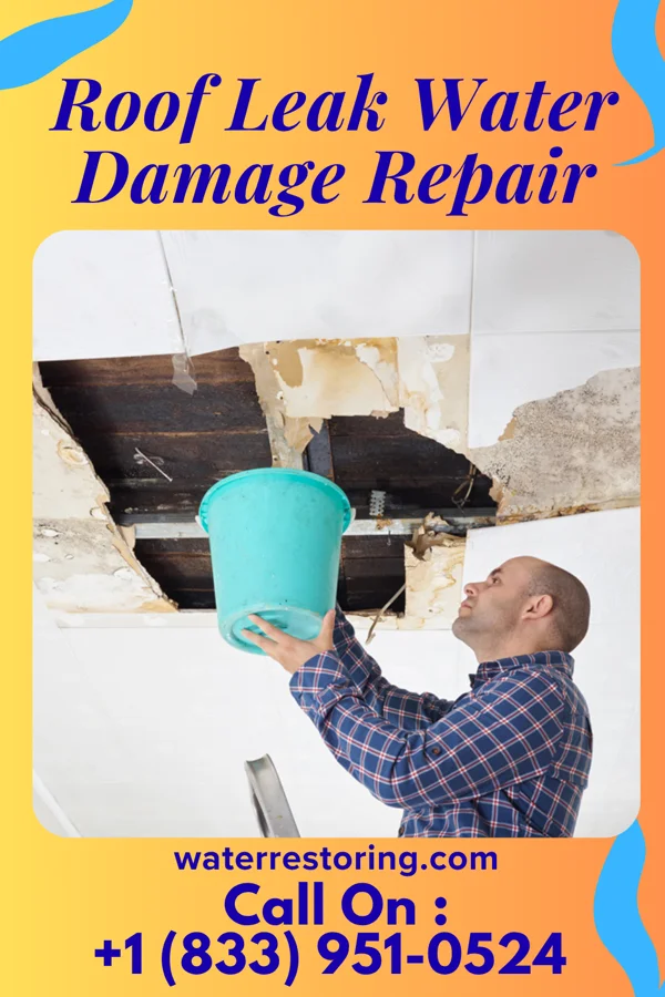 Roof Leak Water Damage Repair in Edmonds, WA